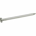 Hillman Common Nail, 2 in L, 6D, Stainless Steel, Stainless Steel Finish 461352